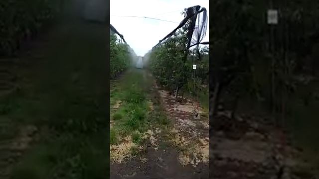 Опрыскиватели Буфер HBR смотреть онлайн