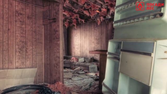 Лес Душа Космос - Безумно красивое видео для Релакса смотреть онлайн