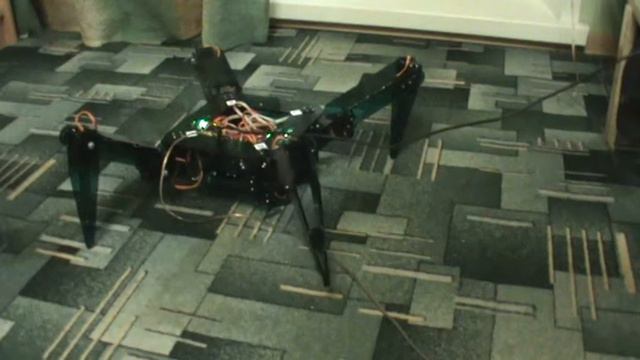 Четырехногий робот двигается