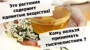 ОСТОРОЖНО! ТЫСЯЧЕЛИСТНИК - ЯДОВИТАЯ ТРАВА! Кому нельзя принимать тысячелистник?