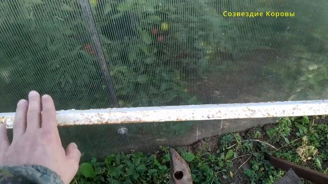 Свет в ДК Малдыкасы смотреть онлайн