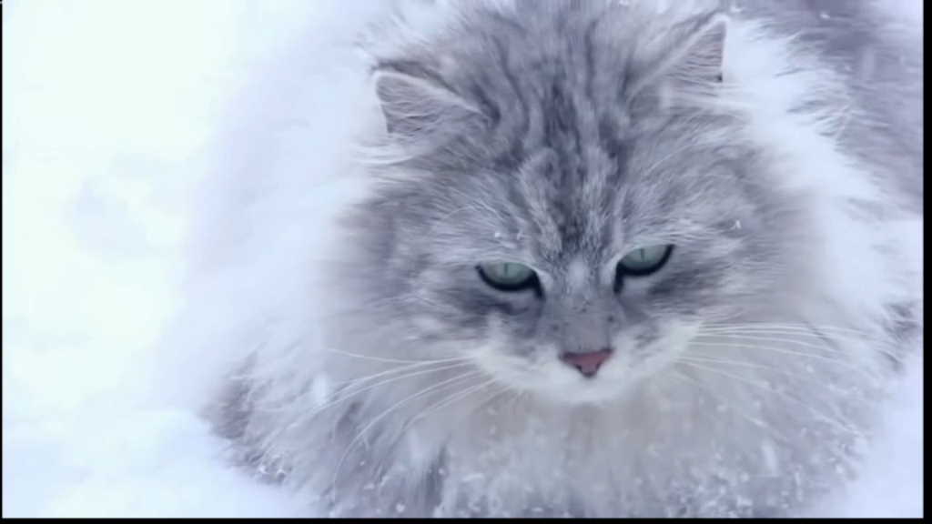 S°unduk - Зимняя (фан-видео)