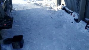 Freightliner Argosy, ямз 7511. Сильфоны это зло!!!