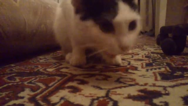 Серега хавает чипсы смотреть онлайн