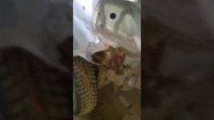 кузовной ремонт Daewoo Matiz замена заднего крыла