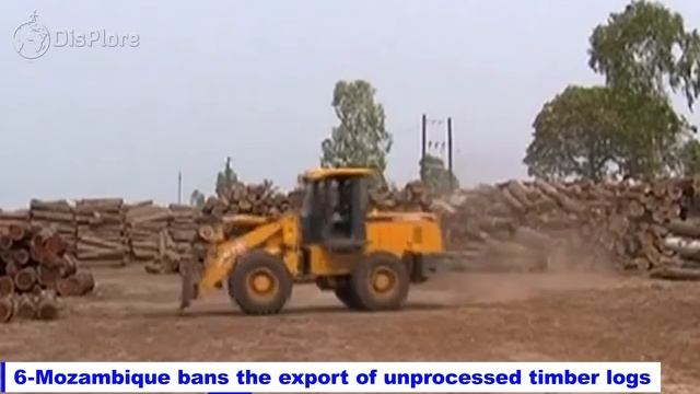 10 African Countries That Banned The Export Of Raw Materials To Europe смотреть онлайн