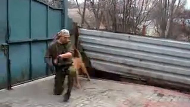 Питомник бордоских догов «Perle de France» http://perl.petsinform.com/ смотреть онлайн