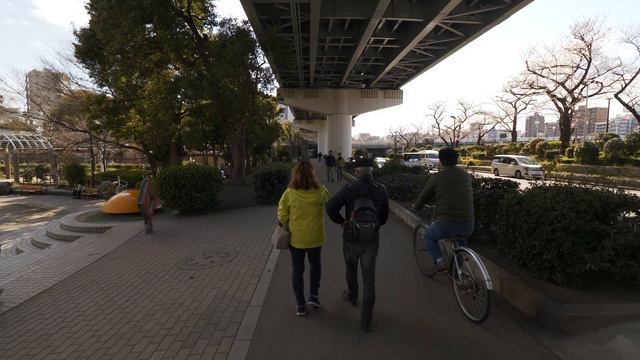 4K・ Сакура на реке Сумида