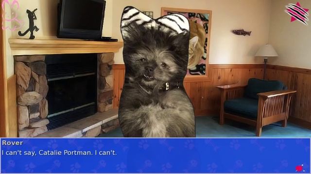 Cat President ~ A Purrfect Union~ Playthrough- Rover BE смотреть онлайн