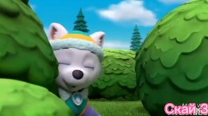 Эверест и Трекер (3 to 1)