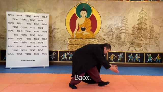 Комплекс оздоровительной гимнастики цигун «8 кусков парчи» (3-4 части) смотреть онлайн