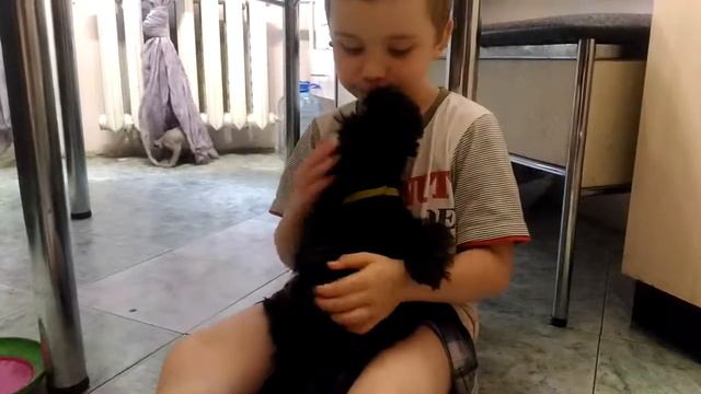 Щенок изюмка смотреть онлайн