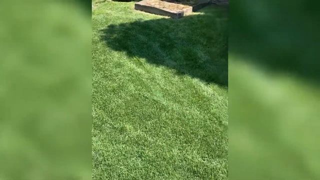 Акумоляторна газонокосарка алко moveo 42.0 li, газонокосилка алко 42.0 лі, alko 42.0 li обзор 2022 смотреть онлайн