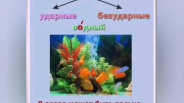#Мугалим_тв Безударные гласные в корне слова смотреть онлайн