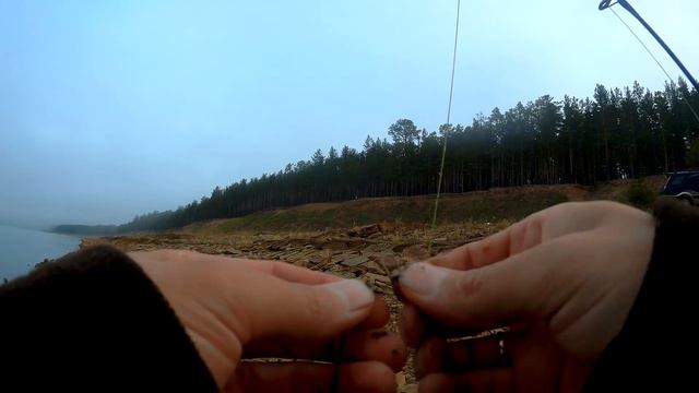 Первые осенние поклевки. Рыбалка сентябрь 2017 смотреть онлайн