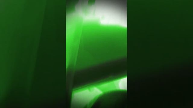 Как коты видят ночью. смотреть онлайн
