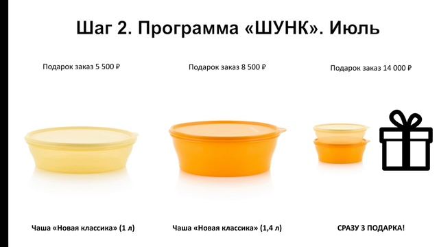 Презентация программы ШУНК для новичков Tupperware смотреть онлайн