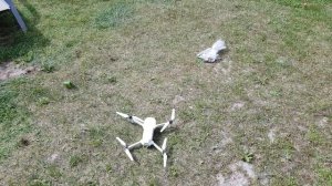 Сколько Мавик Про может поднять груза?!