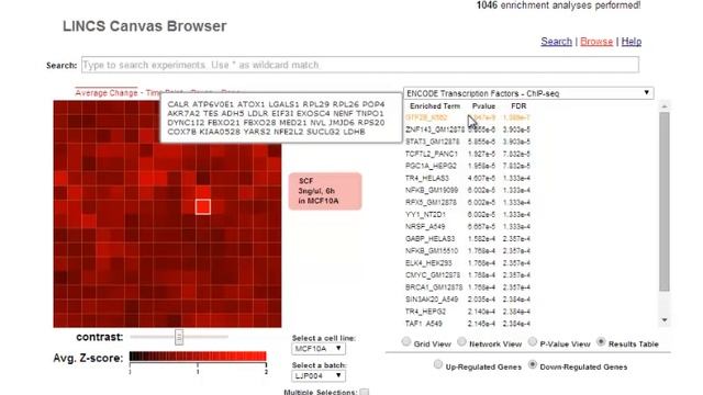 LINCS Canvas Browser Updated Demo смотреть онлайн