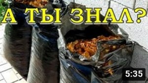 Быстрый КОМПОСТ В МЕШКАХ: делаем удобрение ОСЕНЬЮ???