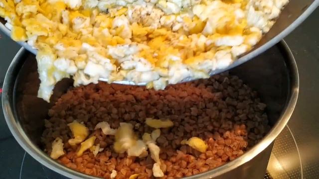 Интересные Факты о Животных