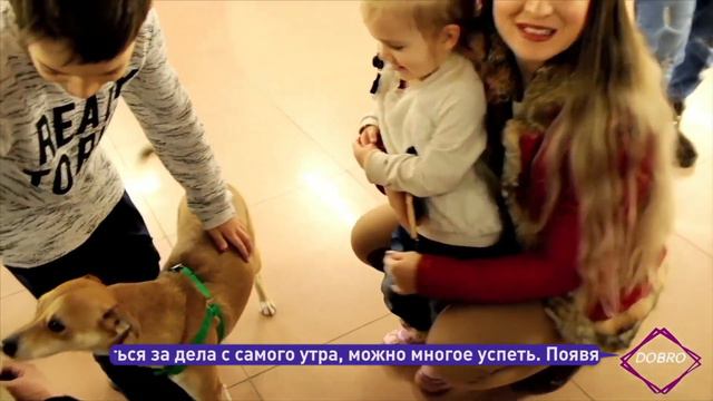 Юлия Аксенова. "ДоброБутик" в помощь бездомным животным смотреть онлайн