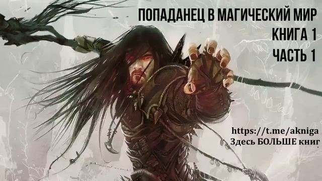 Попаданец в магический мир Книга 1 Часть 1 Аудиокнига смотреть онлайн