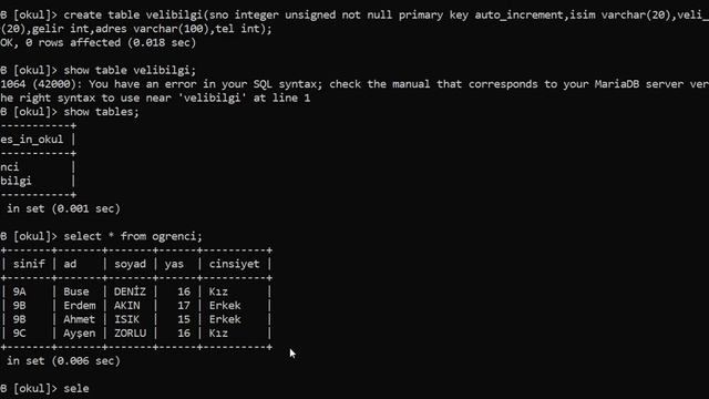 PHP DERSLERİ #16(Primary Key, Alter, Describe) смотреть онлайн