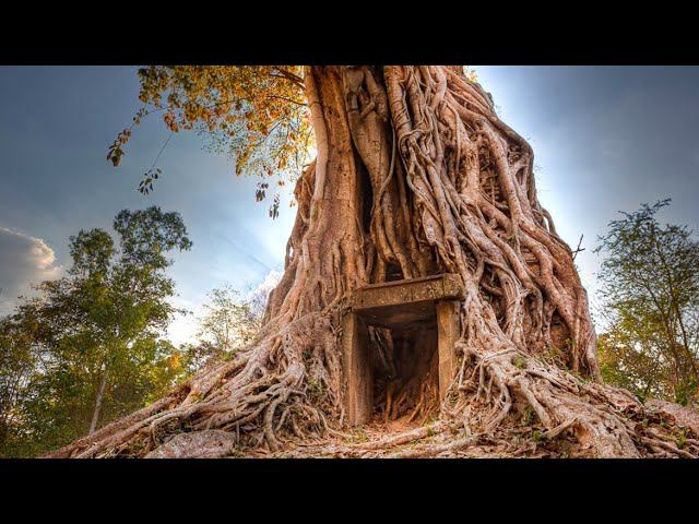 Самбор Прэй Кук- столица Кхмерской Империи в 7 веке н.э. #камбоджа смотреть онлайн