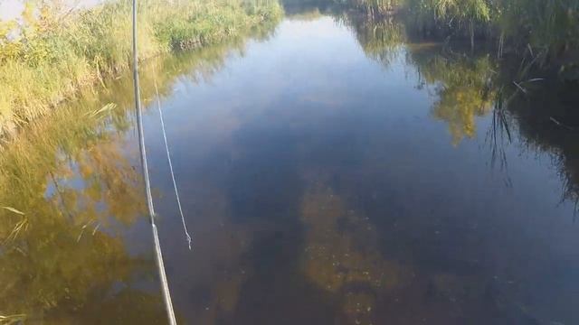 ЛОВЛЯ ЩУКИ ДУПЛЕТОМ В ОКТЯБРЕ. СЕЗОН 2020. ТЕСТ НОВОГО СПИННИНГА.WONDER TROPHY SPIN. 2.40. 10-42 ГР смотреть онлайн