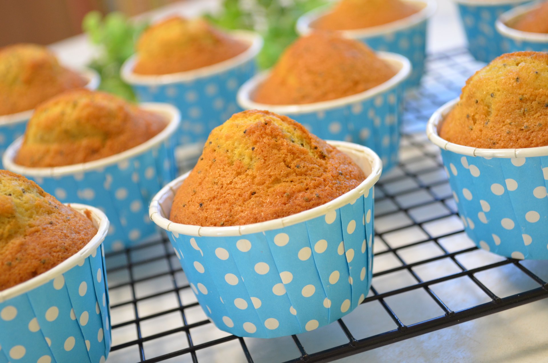 ВКУСНЕЙШИЕ МАКОВЫЕ КЕКСЫ. МАКОВКИ. ХОТЯ ДОБАВКИ МОГУТ БЫТЬ ЛЮБЫМИ.