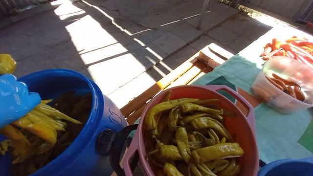 Рисование Картины по Шагам