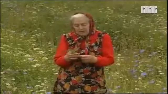 Крымский Травяной Чай смотреть онлайн