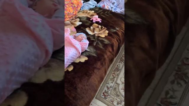 Новорожденные двойняшки - собираемся на прогулку ? смотреть онлайн