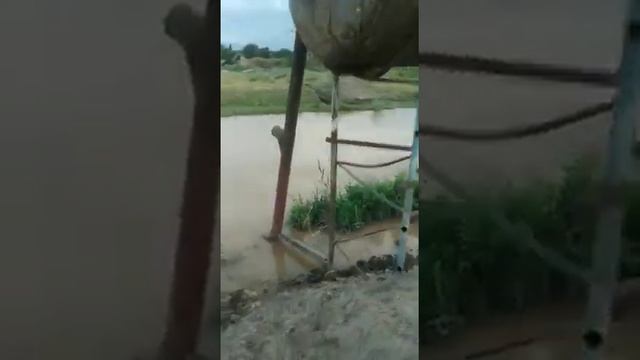 халявный полив поля