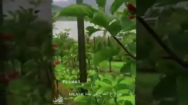 Алхамдулиллахи раббил оламин... смотреть онлайн