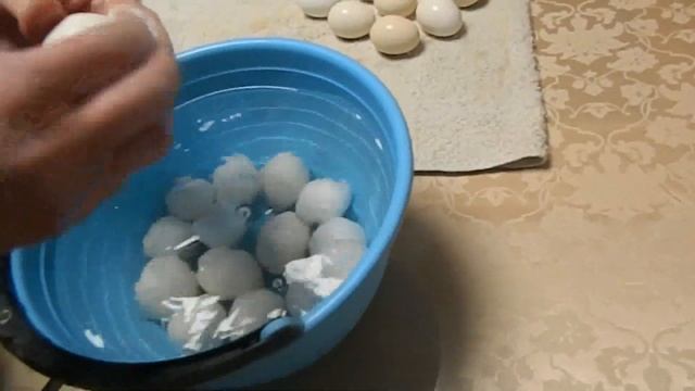 Павловские куры. Содержание и Разведение. 2 часть/Pavlovsky chickens Silver смотреть онлайн