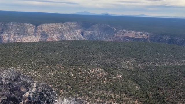 Visit the Grand Canyon from Las Vegas for an Affordable Price! #grandcanyon #grandcanyonsouthrim смотреть онлайн