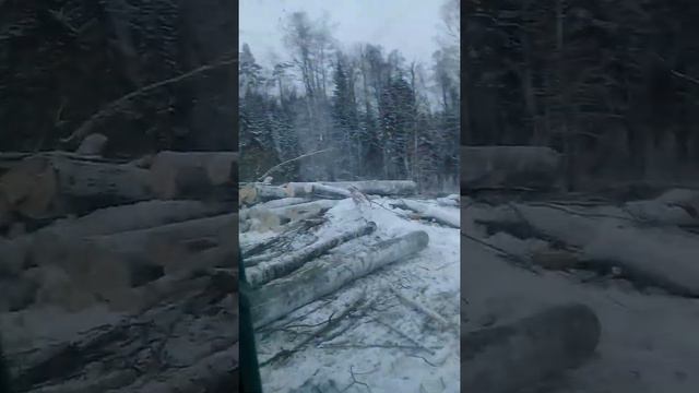 разгрузка леса на складе (день 5) смотреть онлайн