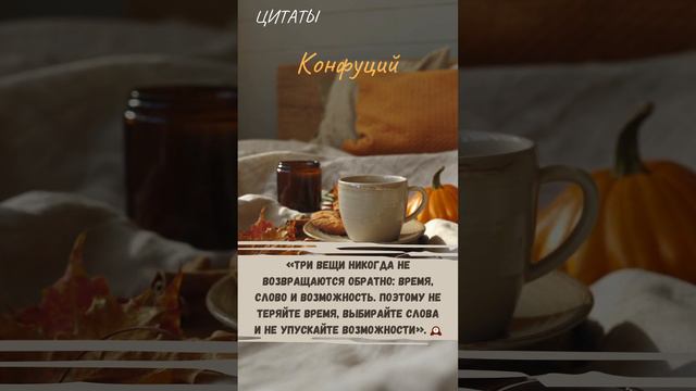 Цитаты смотреть онлайн