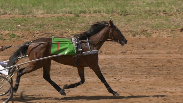 H2320033 смотреть онлайн