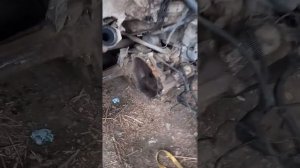 замена двигателя 1.9 abl на 1z с механической тнвд.