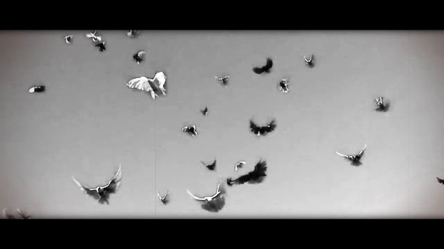 HE.KURILI – От земли (при уч. Ай''эL (2 procenta)) смотреть онлайн