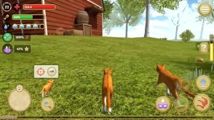 Котик Едун в деревне, мультик игра про котика, Tasty Planet #28