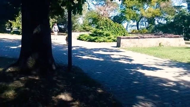 Дрессировка собаки: команд «ко мне - место». Немецкая овчарка. смотреть онлайн