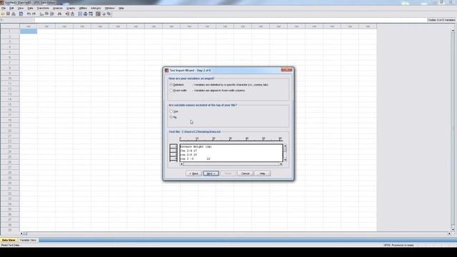 How to import Data in SPSS from a .txt file смотреть онлайн