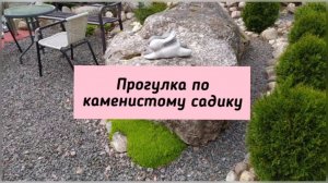 Прогулка по каменистому садику.