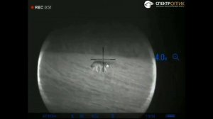 Ночная охота на волка 2021. Точный выстрел в кадре