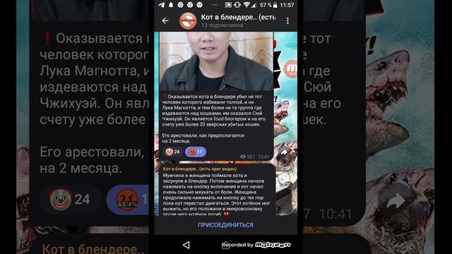 кот в блендере ужасы телеграма и тик тока смотреть онлайн