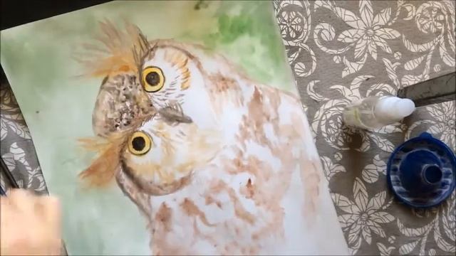 Рисуем совушку смотреть онлайн